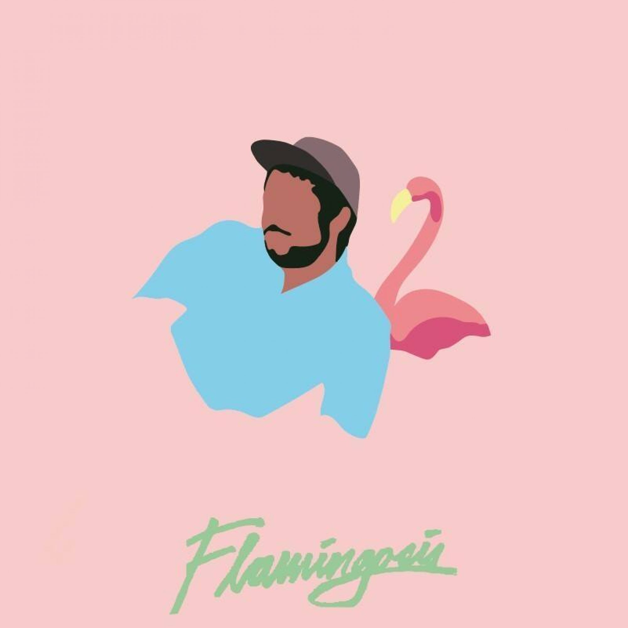 cover flamingosis